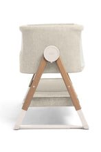 Load image into Gallery viewer, FAWN