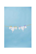 Load image into Gallery viewer, Not Too Big Kitten Accessories - 2 Packs