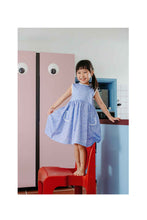 Load image into Gallery viewer, Not Too Big Birds Bamboo Dress with Pocket