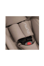 Load image into Gallery viewer, CEDAR