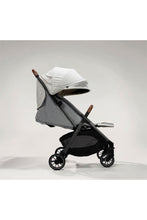 Load image into Gallery viewer, OYSTER