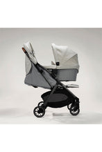 Load image into Gallery viewer, OYSTER