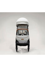 Load image into Gallery viewer, OYSTER