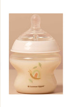 Load image into Gallery viewer, SNAIL