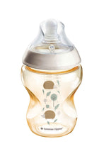 Load image into Gallery viewer, HEDGEHOG