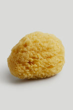 Load image into Gallery viewer, Mothercare Bath Accessories Sponge 1pk Natural