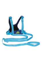 Load image into Gallery viewer, DINO