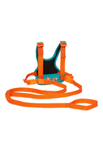 Load image into Gallery viewer, SAFARI