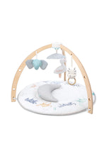 Load image into Gallery viewer, Aden+Anais Ababy Activity Gym