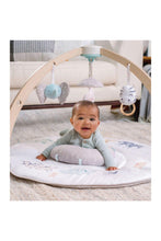 Load image into Gallery viewer, Aden+Anais Ababy Activity Gym