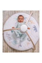 Load image into Gallery viewer, Aden+Anais Ababy Activity Gym