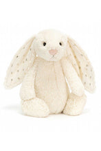 Load image into Gallery viewer, TWINKLE