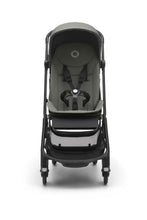 Load image into Gallery viewer, FOREST GREEN