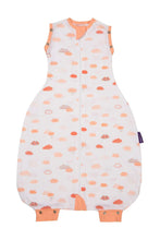 Load image into Gallery viewer, CORAL