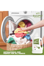 Load image into Gallery viewer, Eucapro Concentrated Liquid Detergent 1L