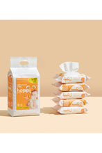 Load image into Gallery viewer, Hoppi Anti-Bacterial Wipes - 20 Pack X 5