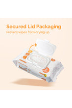 Load image into Gallery viewer, Hoppi Anti-Bacterial Wipes - 80 Pack X 3