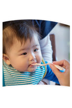 Load image into Gallery viewer, Richell TLI Soft Feeding Spoon