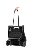 Load image into Gallery viewer, EMBER