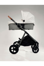 Load image into Gallery viewer, OYSTER