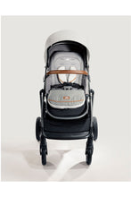 Load image into Gallery viewer, OYSTER