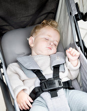 Load image into Gallery viewer, OYSTER