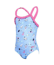 Load image into Gallery viewer, MULTI / 5 YEARS +