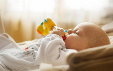 Supporting Your Child’s Development from Birth: Activities, Environment, Diet and More
