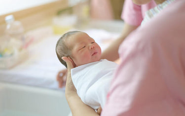 A Day in the Life of a Newborn Baby