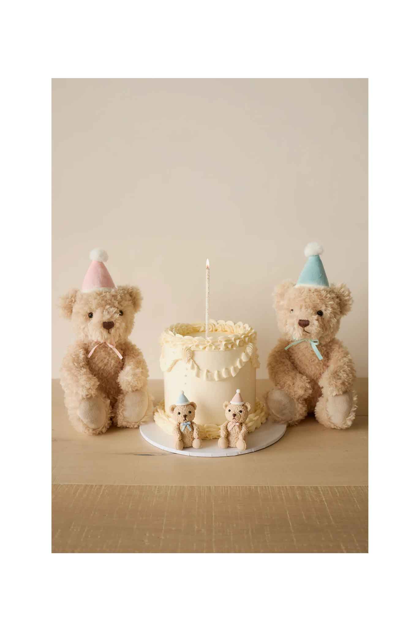 Snuggle Bunnies Birthday Arthur Sky