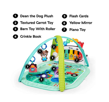 Baby Einstein 4-In-1 Kickin Tunes Musical Meadow Music & Language Discovery Gym