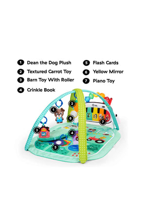 Baby Einstein 4 In 1 Kickin Tunes Musical Meadow Music & Language Discovery Gym