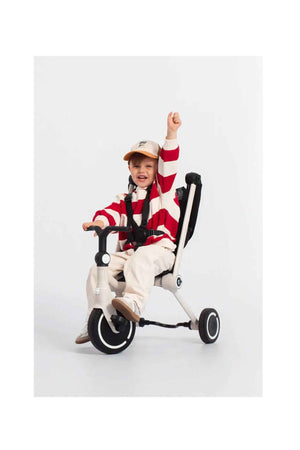 Smartrike Wonder