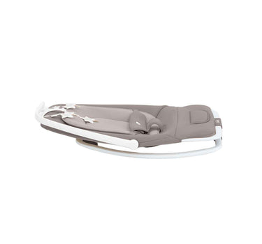 Joie Dreamer Rocker & Bouncer