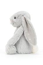 Load image into Gallery viewer, SHIMMER 01
