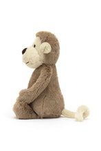 Load image into Gallery viewer, MULTI 01
