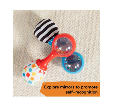 Baby Einstein Shake & Groov Toy Maracas