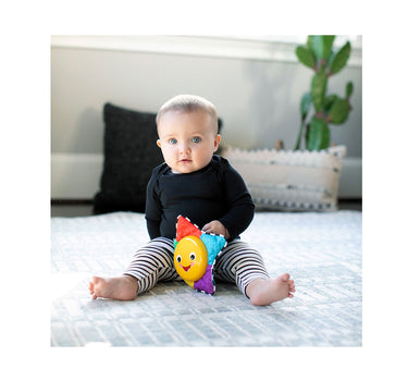 Baby Einstein Star Bright Symphony Plush Musical Take-Along Toy