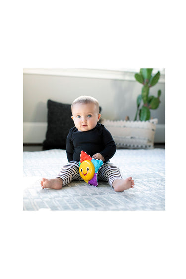 Baby Einstein Star Bright Symphony Plush Musical Take-Along Toy