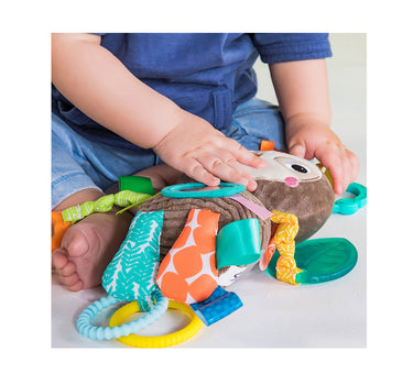 Bright Starts Playful Pals Take-Along Activity Toy, Sloth