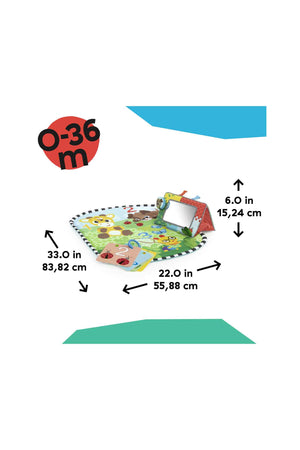 Bright Starts Discovery Garden Tummy Time Mat & Mirror