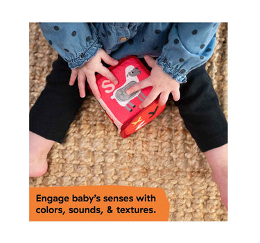 Baby Einstein Alpha Stacks Soft Blocks