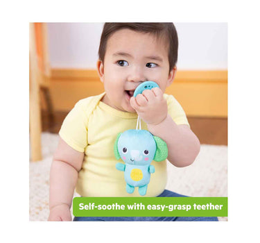 Bright Starts Soothemate Plush Teether Toy - Elephant