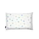 BLUE SPOT