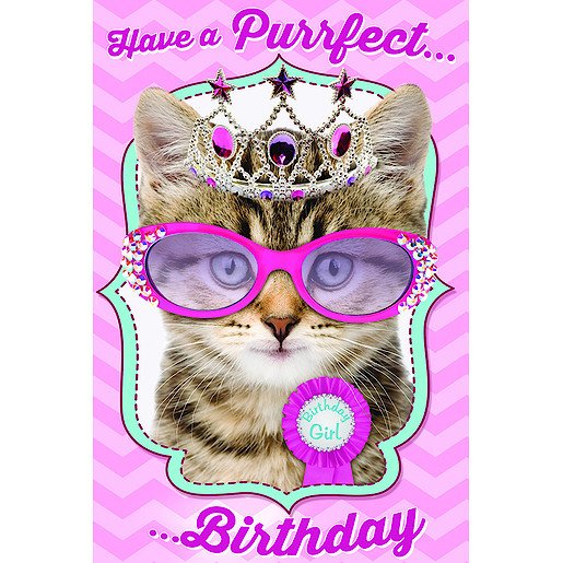 Gemma Happy Birthday Card Kitten