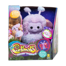 Load image into Gallery viewer, Curlimals Flutter Wonders Bella Bear
