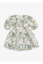 Load image into Gallery viewer, Gingersnaps Puff Sleeves Printed Linen Dress
