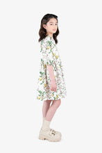 Load image into Gallery viewer, Gingersnaps Puff Sleeves Printed Linen Dress
