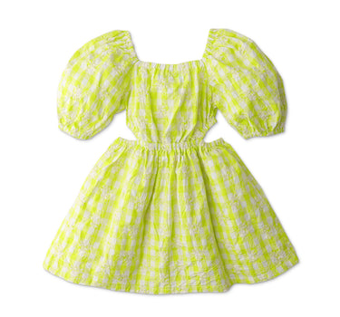 Gingersnaps Gingham Embroidered Eyelet Cut Out Dress