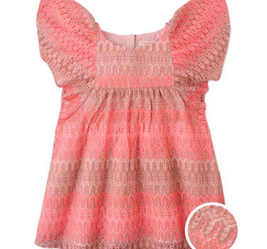 Gingersnaps Multicolor Lace Empire Dress with Butterfly Sleeves